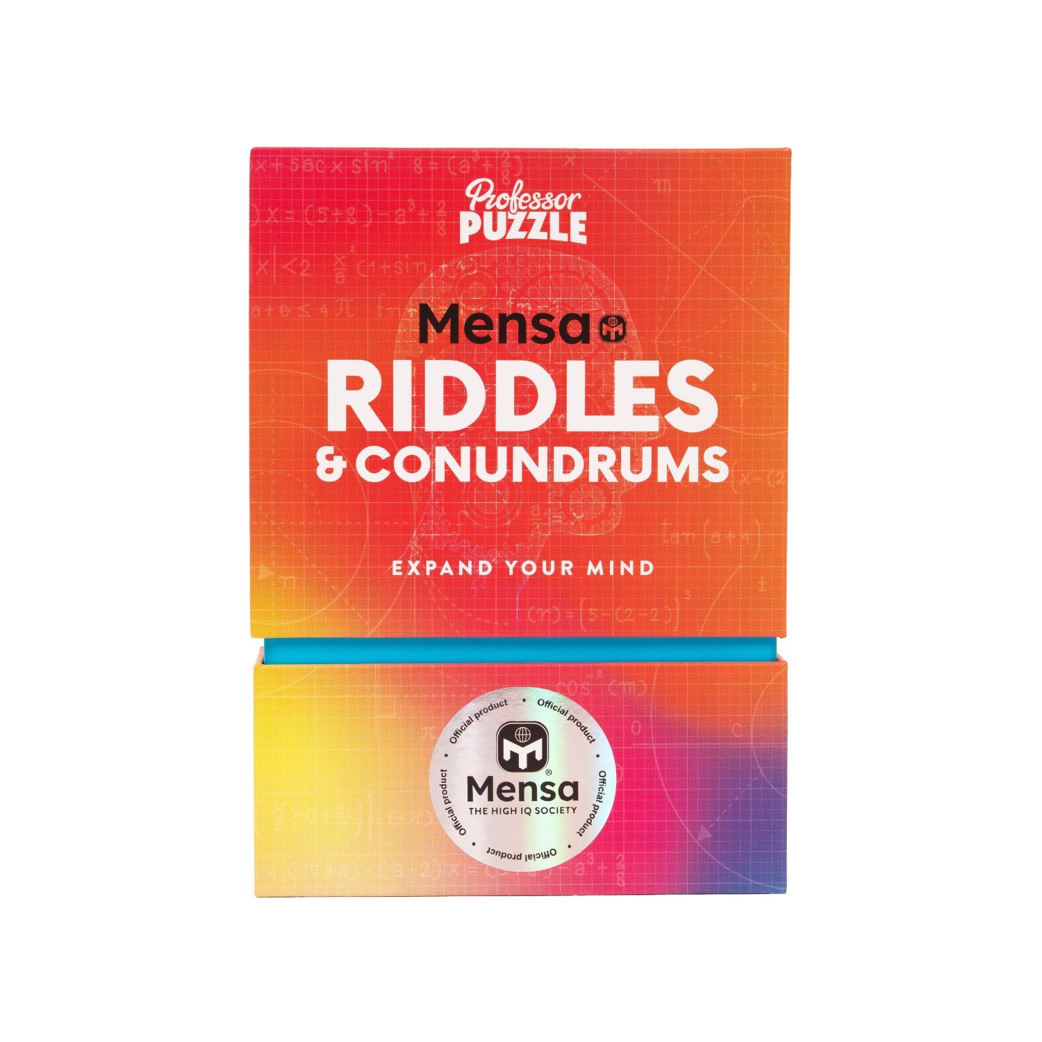 The Mensa Riddles and Conundrums puzzle pack in its sophisticated, branded box, highlighting the official Mensa logo and "100 Puzzles" feature.
