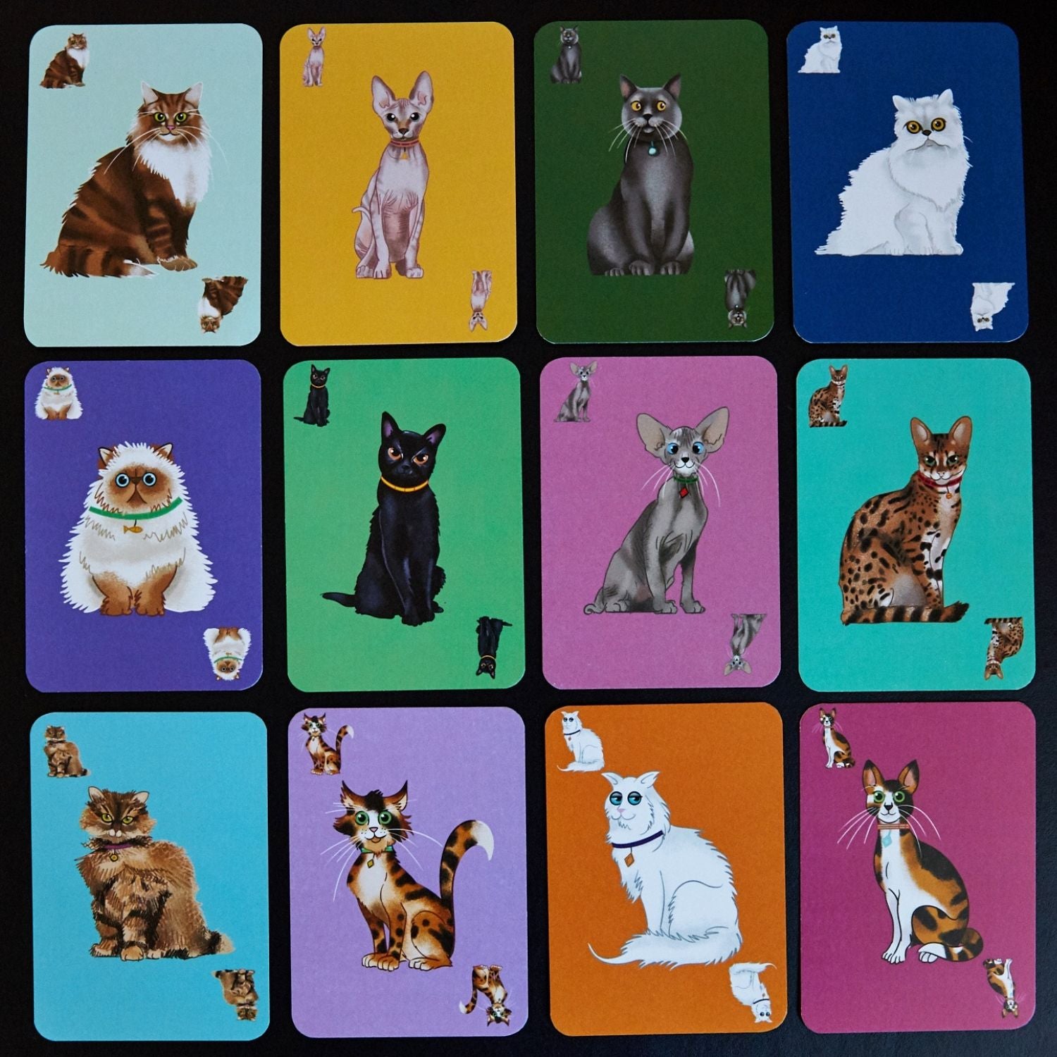 The Herding Cats kids card game featuring vibrant, various quirky cat characters.