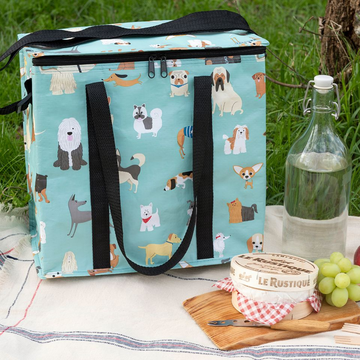 Lunch & Picnic