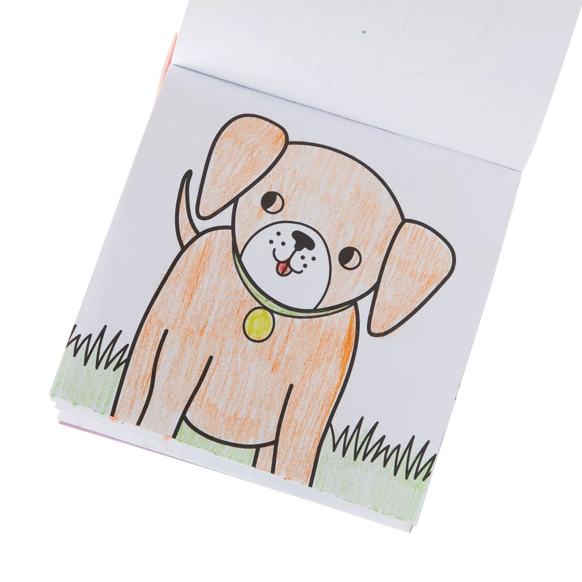 Carry Along Colouring Book &amp; Crayon Set - Pet Pals
