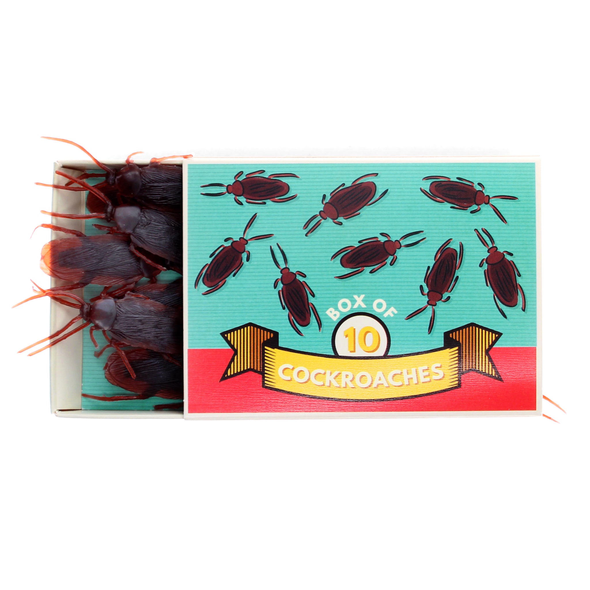 Monkey Cockroach Box of 10 Cockroaches - You Monkey NZ