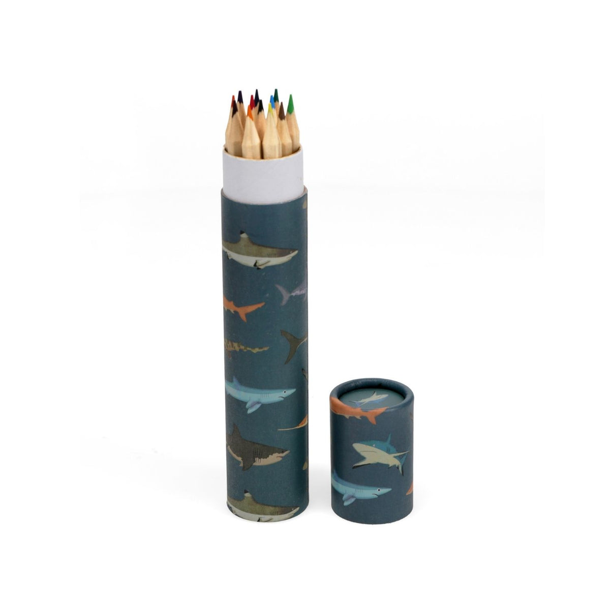 Long Tube Of Colouring Pencils - Sharks