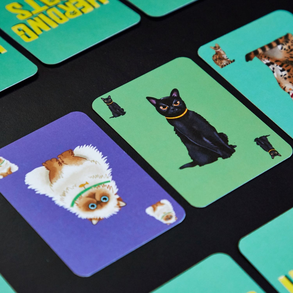 Card game with cat illustrations on colorful cards