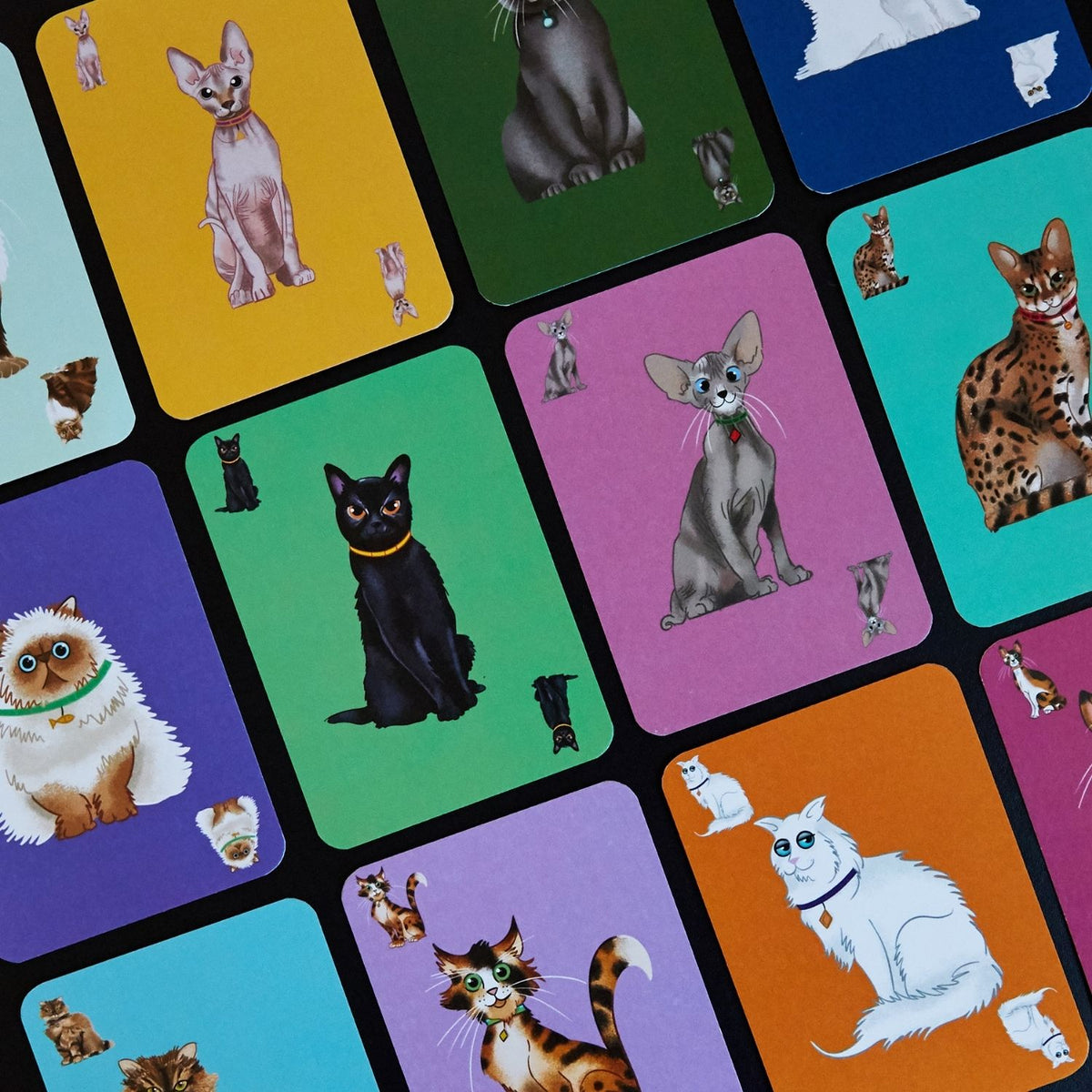 Grid of colorful cards featuring illustrations of cats on a black background