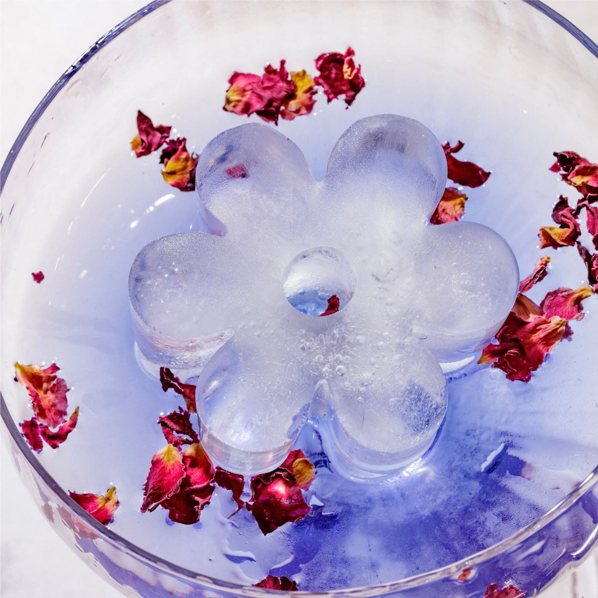 Flower-shaped ice cube with dried flowers in a clear container