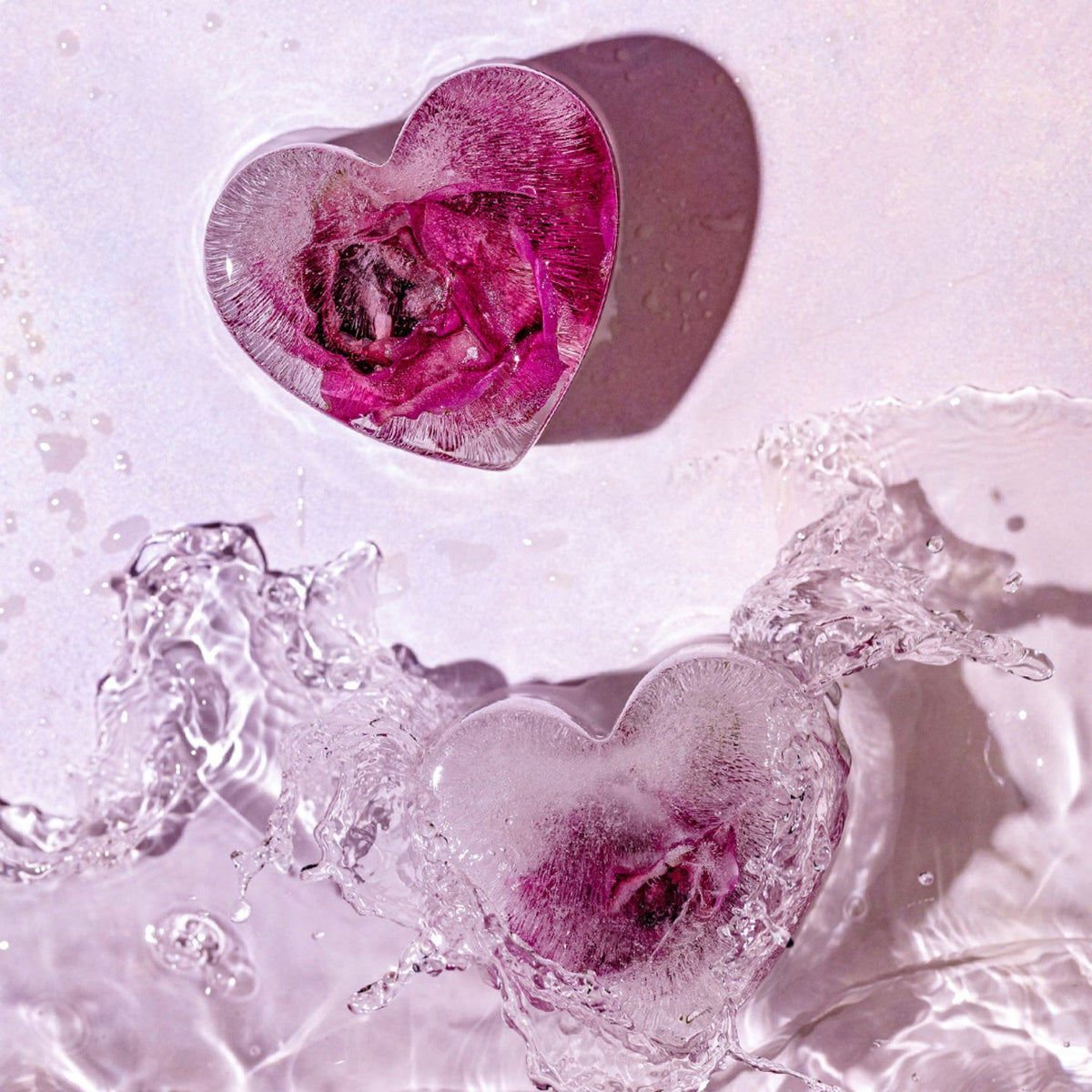 Heart-shaped ice sculptures with pink roses inside on a light background