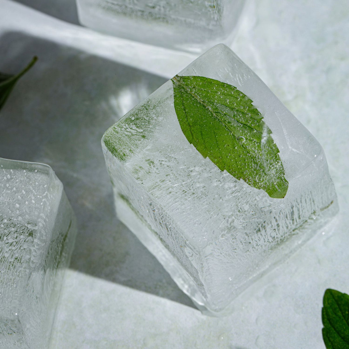 Ice cube with a mint leaf inside on a white background