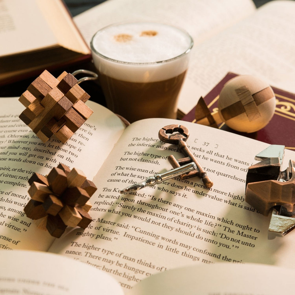 A curated collection of five different wooden and metal puzzles representing Chinese, Greek, Egyptian, Roman, and Aztec civilisations for ages eight plus.