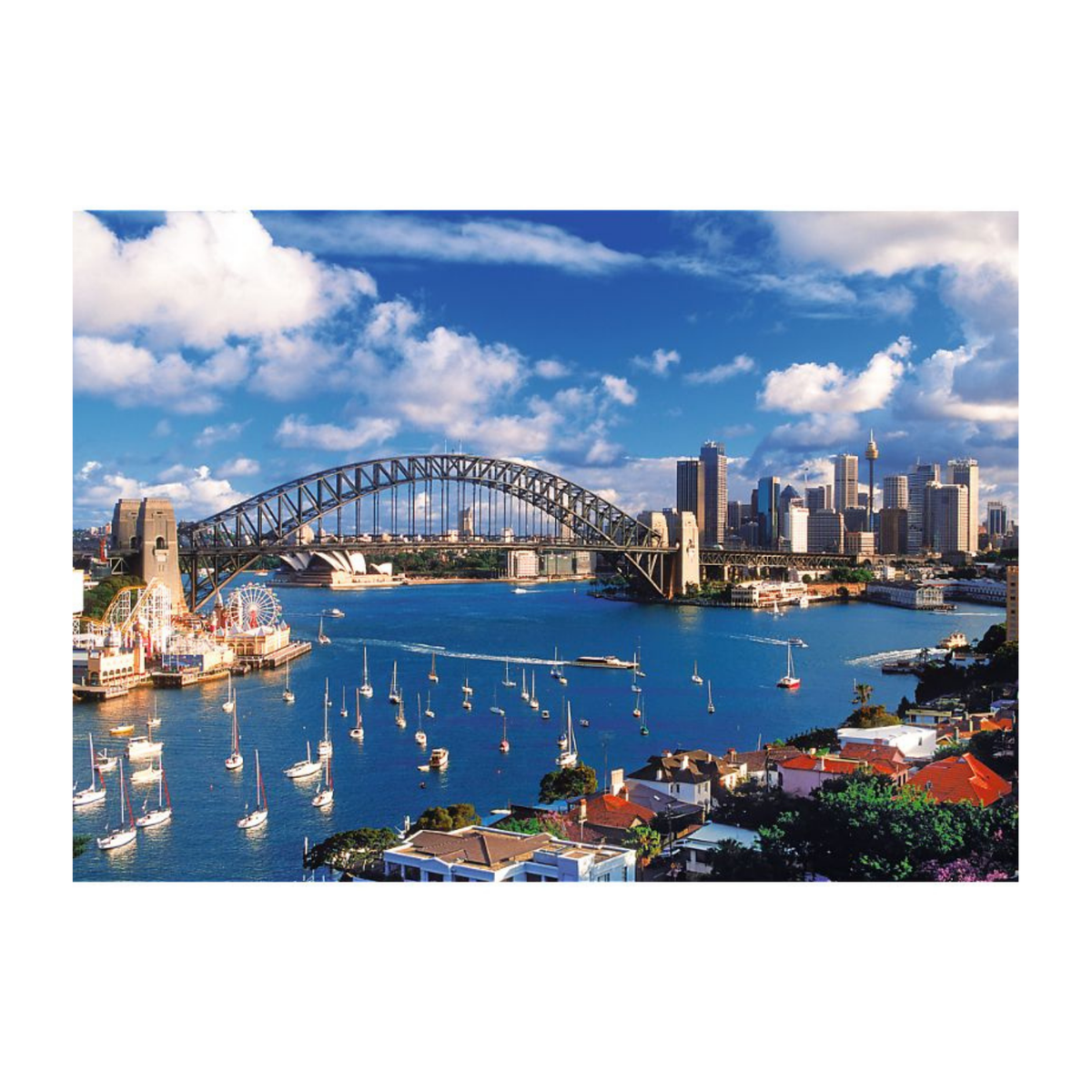Completed Trefl 1000 piece puzzle with vibrant image of Port Jackson Sydney