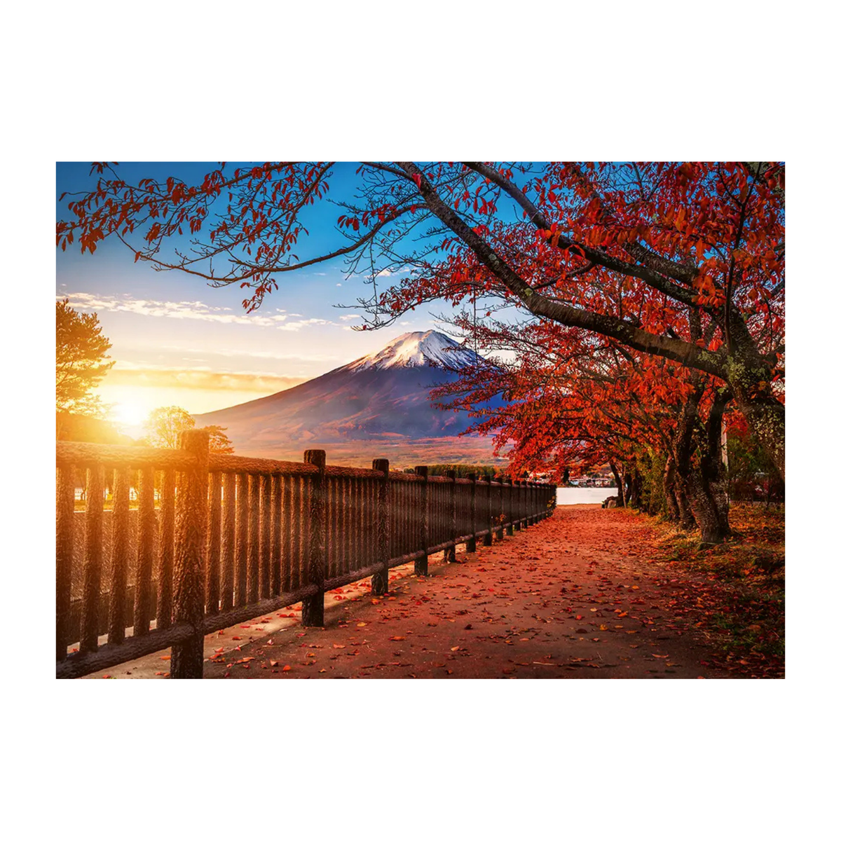 Trefl Photo Odyssey world travel puzzle