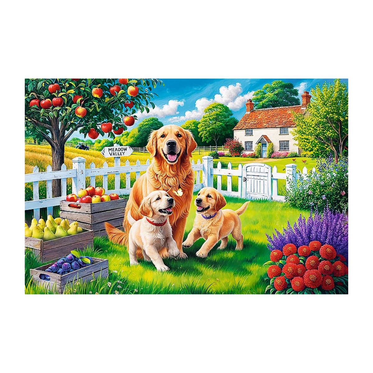 Trefl beginner-friendly 300 piece puzzle completed image