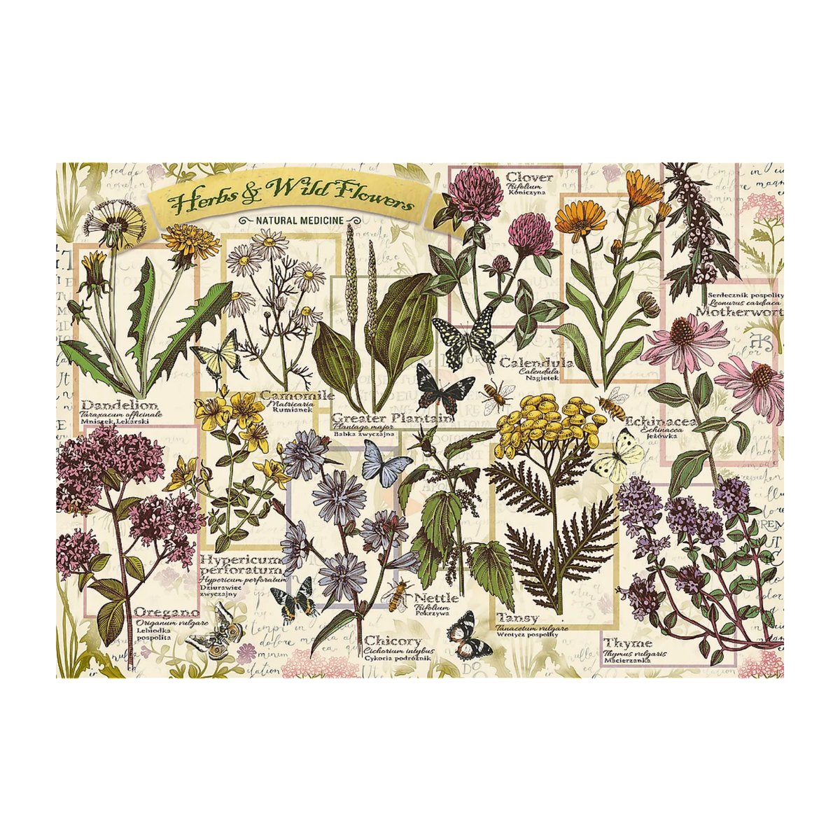 Trefl 500 piece jigsaw puzzle completed image