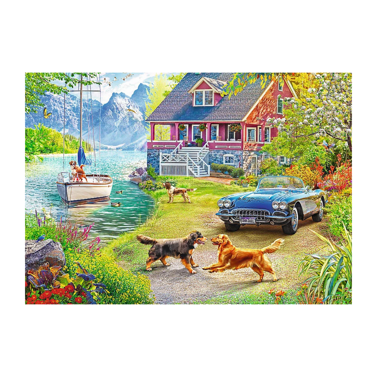Trefl 2 × 500 piece puzzle collection with complementary designs