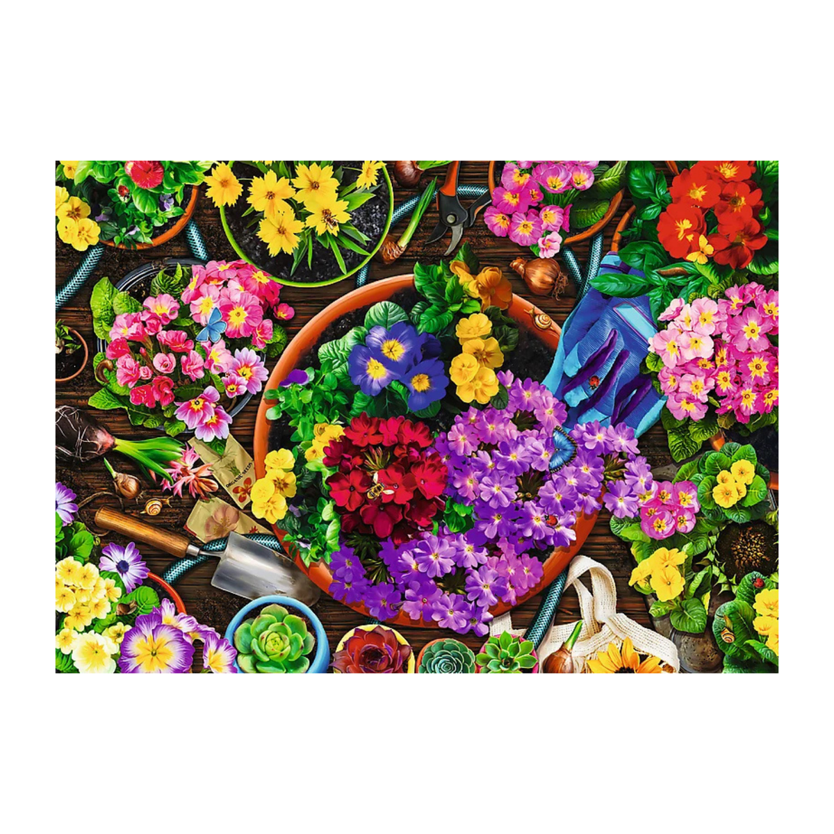 Trefl 2 × 500 piece puzzle collection with complementary designs