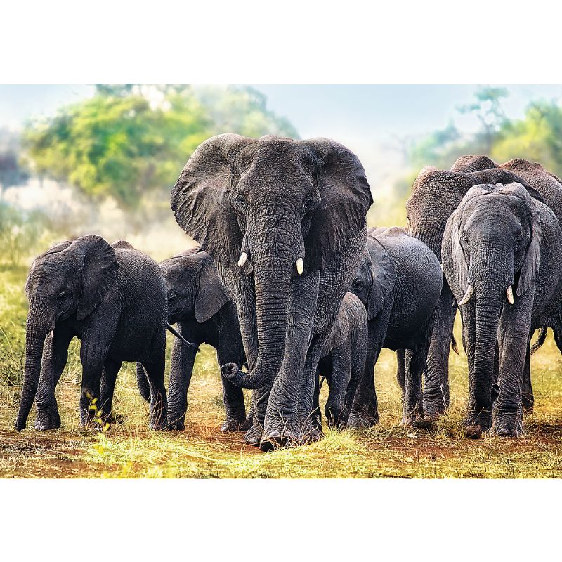 Trefl  &quot;1000&quot; - African elephants