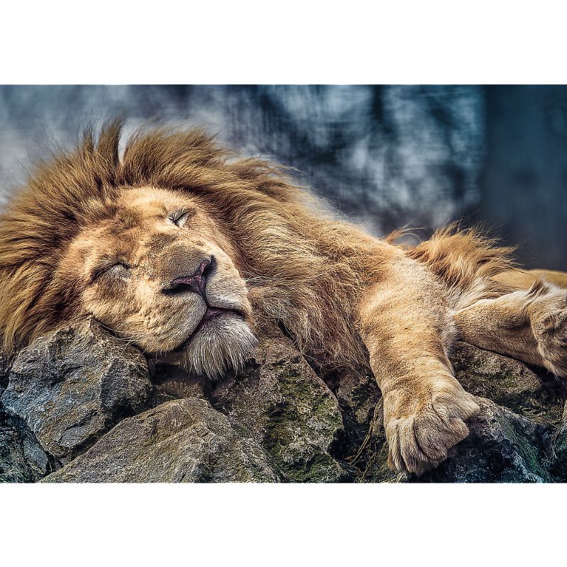 Trefl &quot;1000&quot; - Sleeping lion