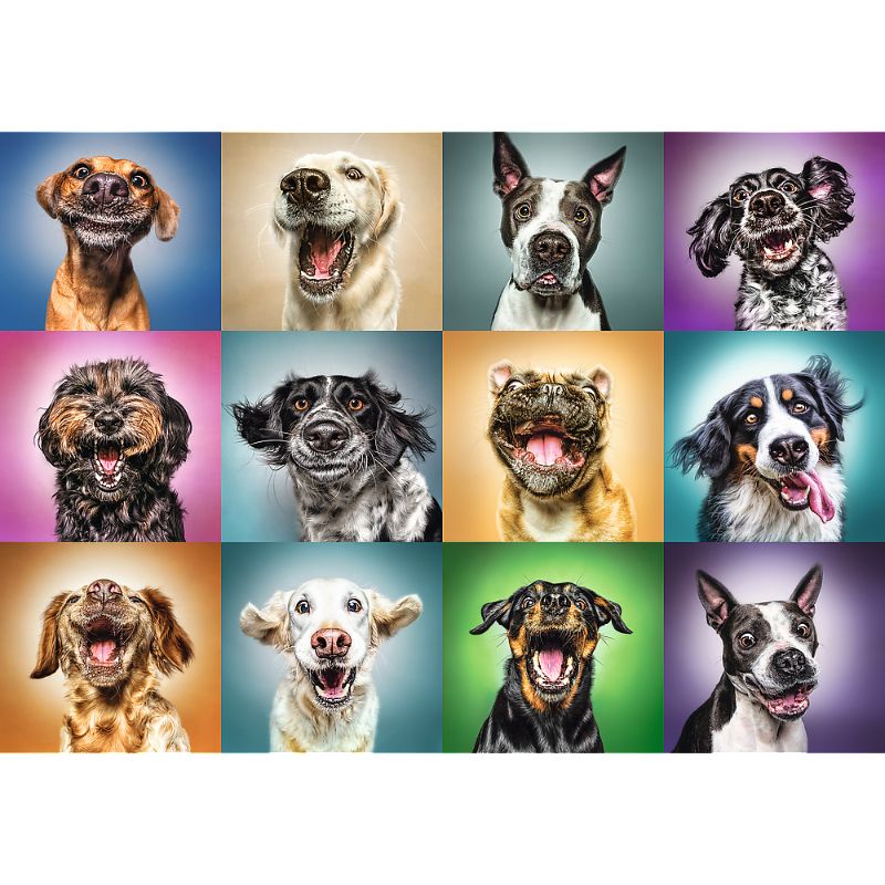 Trefl &quot;1000&quot; - Funny dog portraits
