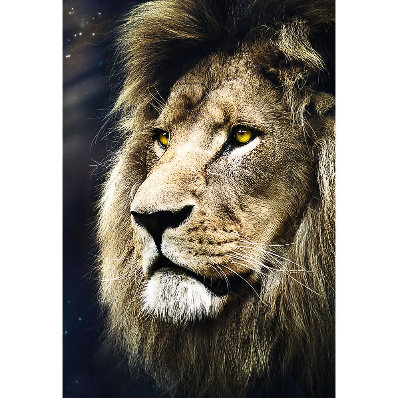Trefl &quot;1500&quot; - Lions portrait