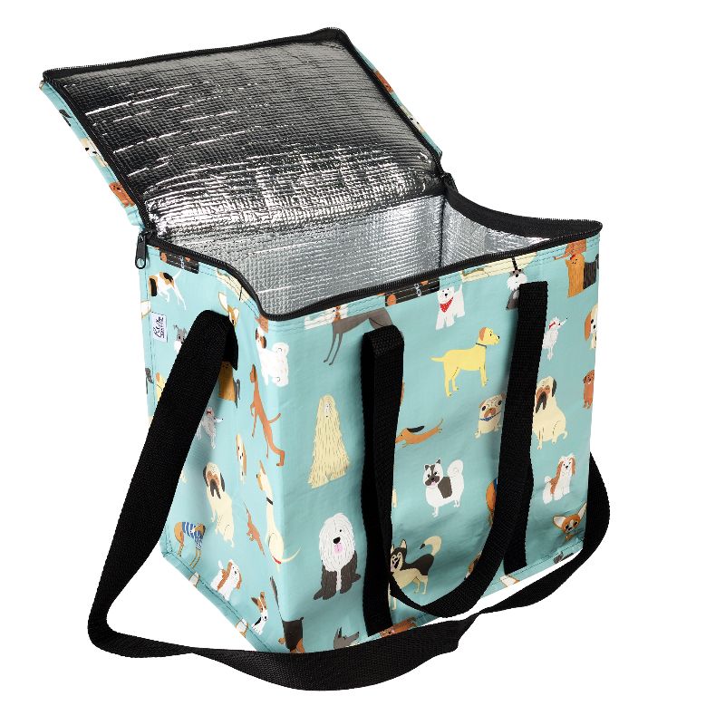 Insulated sales picnic bag