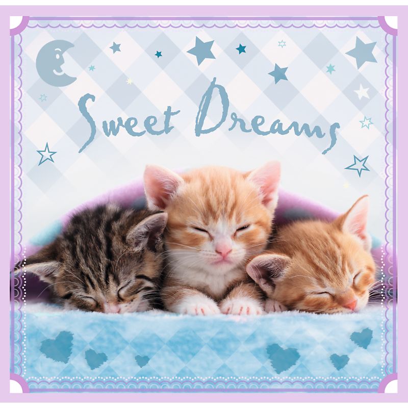 Trefl &quot;3in1&quot; - Sweet kittens