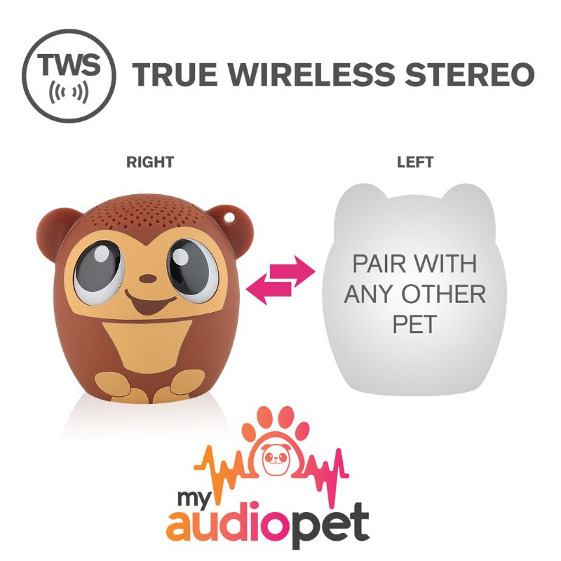 Monkey My Audio Pet